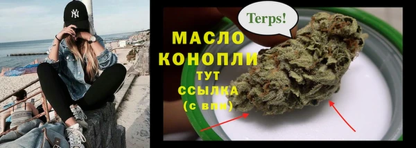 сатива Алзамай
