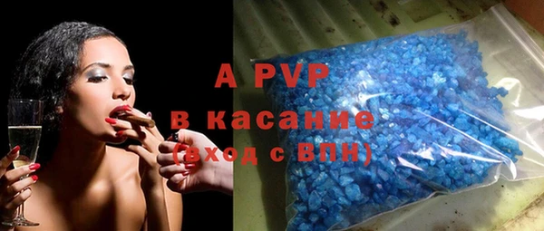сатива Алзамай