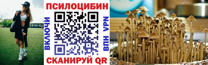 Псилоцибиновые грибы прущие грибы Полярные Зори