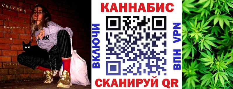 Каннабис планчик  Полярные Зори 